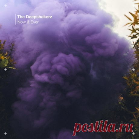 The Deepshakerz, Black Savana – Now &amp; Ever [KD198BP]