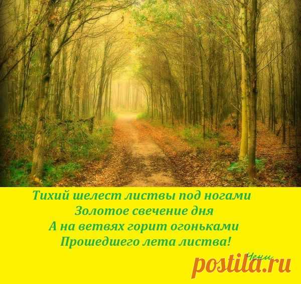 Продолжение лета | О сокровенном и прекрасном | Группы Мой Мир