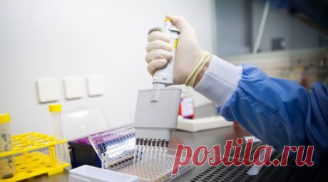 В Минздраве Подмосковья рассказали о работе по ранней диагностике рака. Система диагностики в Московской области в 2023 году позволила на 2,5% повысить выявляемость опухолей на ранней стадии, заявила начальник управления организации онкологической помощи Минздрава региона Ольга Отдельнова. Читать далее