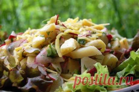 Картофельный салат с редиской и зеленью рецепт с фото пошагово - 1000.menu
