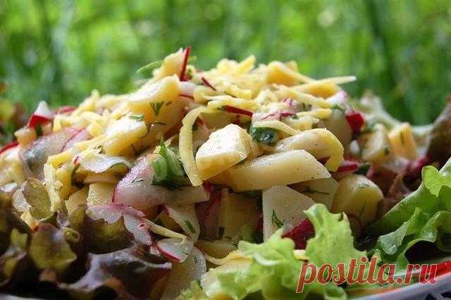 Картофельный салат с редиской и зеленью рецепт с фото пошагово - 1000.menu