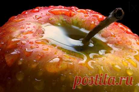 Fruit in Photography: Delicious and Creative Examples - Stockvault.net Blog