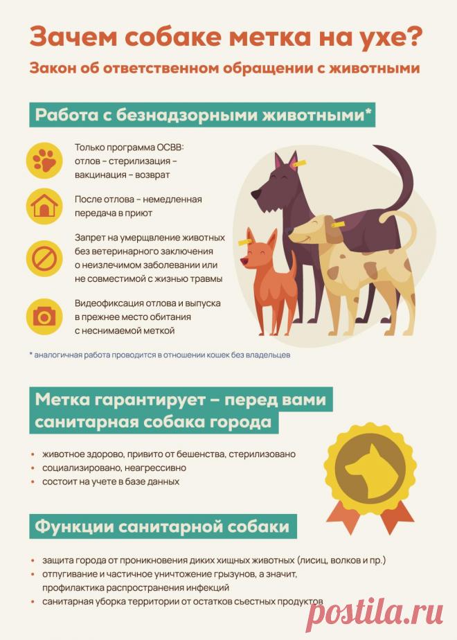 Собаки с жёлтой биркой  в ухе охраняются  Государством.
Прикрепленная на ухо бирка желтого цвета означает, что собака стерилизована и привита, /вакцинирована от бешенства, гельминтов, не агрессивна и  находится под контролем зоозащитников.
По чипу таких собак можно отследить по месту нахождения. НЕЛЬЗЯ снимать бирку с уха собаки. Такую собаку не отлавливают повторно.
 Напоминаем!!!  УК РФ Статья 245. Жестокое обращение с животными 

Жестокое обращение с животным в целях пр...