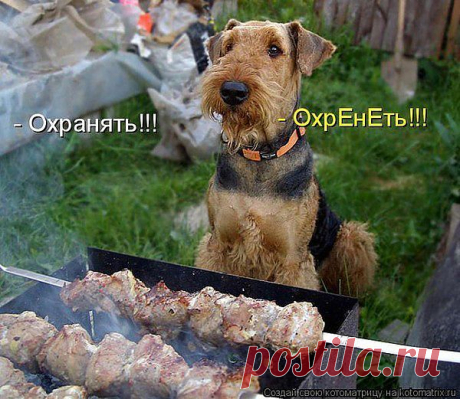 ОХРОНЯТЬ ОХРЕНЕТЬ