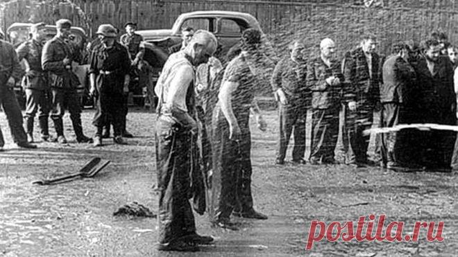 Мужество честного взгляда 27 июня 1941 года литовские националисты в Каунасе устроили показательную расправу над евреями в автобусном гараже товарищества «Летукис» в центре гор