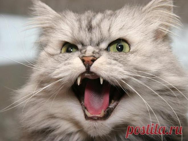 Как вселенная посылает нам знаки