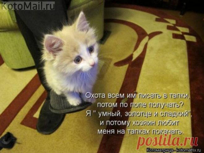 Тапок-качалка.