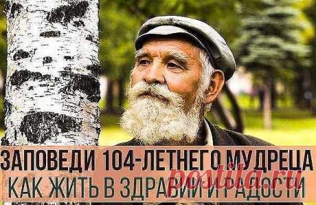 (6) Одноклассники