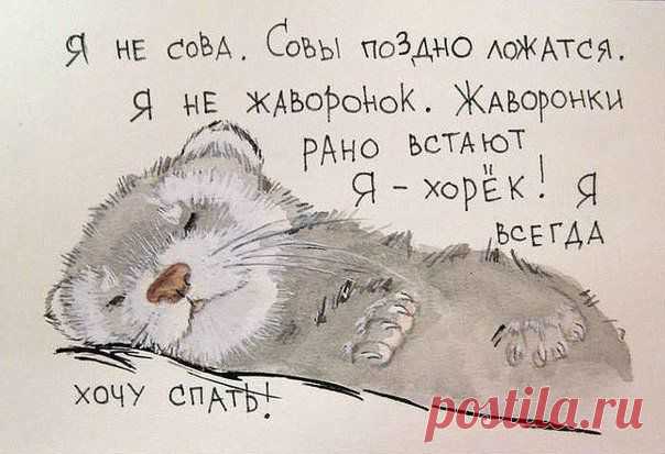 Владимир Акуленко