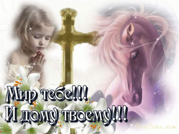 s-1288.gif (599×449)