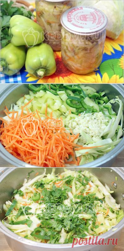 Салат с капустой на зиму - Заготовки. Закуски на зиму
