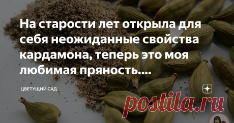 На старости лет открыла для себя неожиданные свойства кардамона, теперь это моя любимая пряность. Рассказываю почему