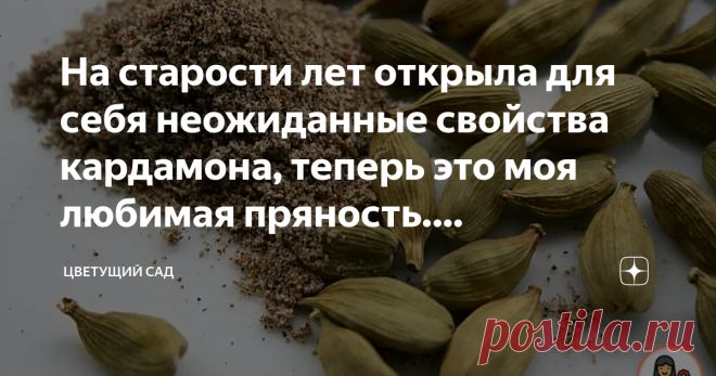 На старости лет открыла для себя неожиданные свойства кардамона, теперь это моя любимая пряность. Рассказываю почему