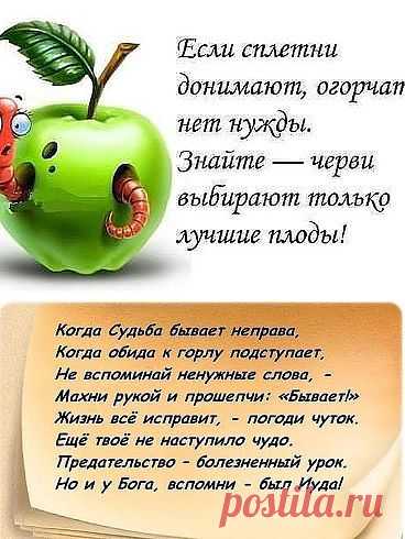 (65) Одноклассники