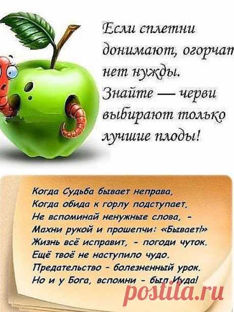 (65) Одноклассники
