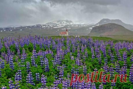 Обсуждения - Блог. Run - Группы Мой Мир