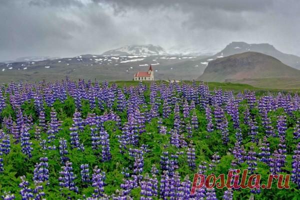 Обсуждения - Блог. Run - Группы Мой Мир