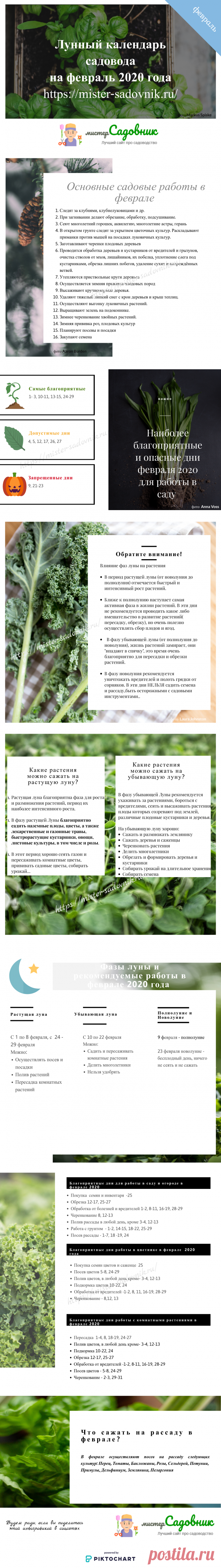 Лунный календарь садовода на февраль 2020 - полная таблица