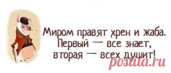Выпуск №6398 - выпуск анекдотов сайта вокруг смеха