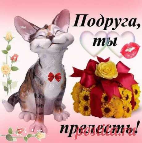 Подруга, ты ПРЕЛЕСТЬ !
