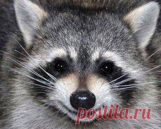 Улыбнитесь и пусть у вас все будет хорошо.:)