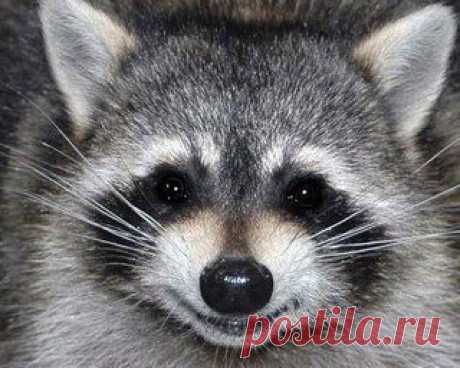 Улыбнитесь и пусть у вас все будет хорошо.:)