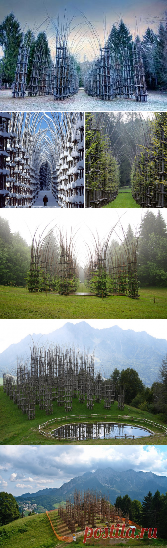 Этот величественный собор сделан из живых деревьев
