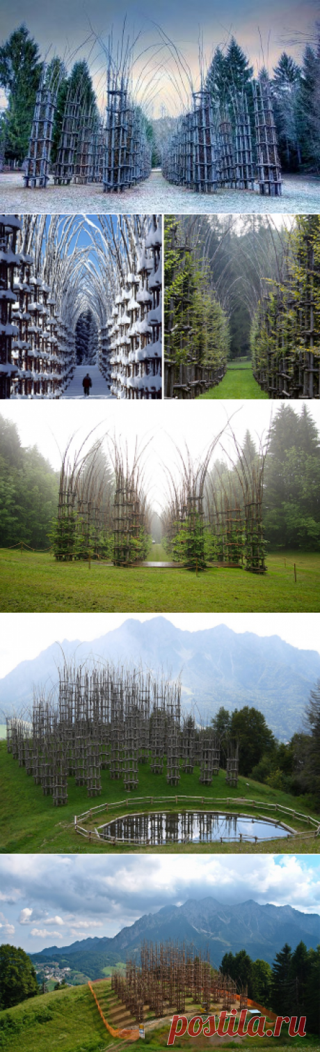 Этот величественный собор сделан из живых деревьев