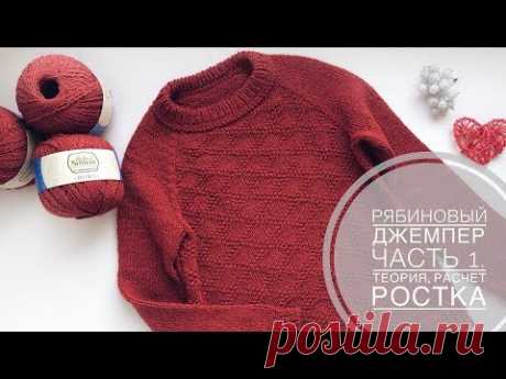 Рябиновый джемпер // Часть 1 // Теория, расчет ростка