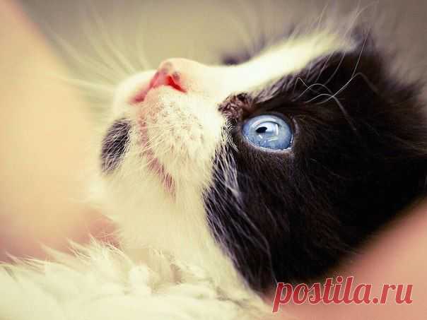 Желаю проснуться с улыбкой, Забыть о вчерашних ошибках, На крыльях удачного дня, Начать все дела не ...