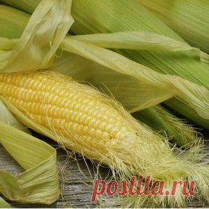 ЕСЛИ ЭТОТ ОТВАР ПРИНИМАТЬ, ПИЕЛОНЕФРИТУ НЕСДОБРОВАТЬ | Советы Народной Мудрости