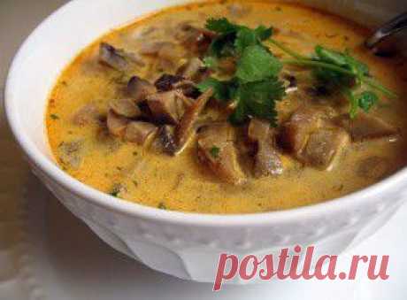 Суп с мясом и грибами