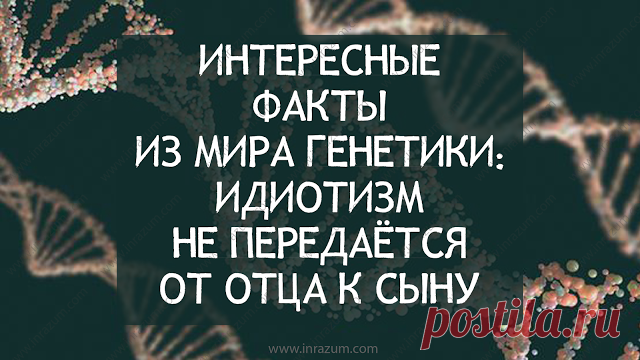 Интересные факты из мира генетики: идиотизм не передаётся от отца к сыну - Inrazum