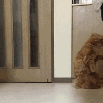 живая фотка | Записи с меткой живая фотка | Дневник Krasyna (Larisa--Klara)