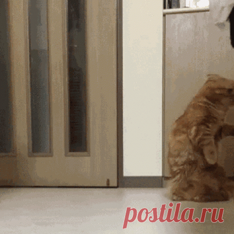 живая фотка | Записи с меткой живая фотка | Дневник Krasyna (Larisa--Klara)