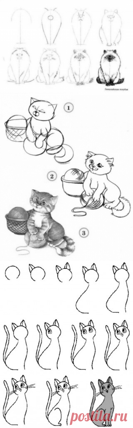Как рисовать котёнка: 20 пошаговых схем с объяснениями
