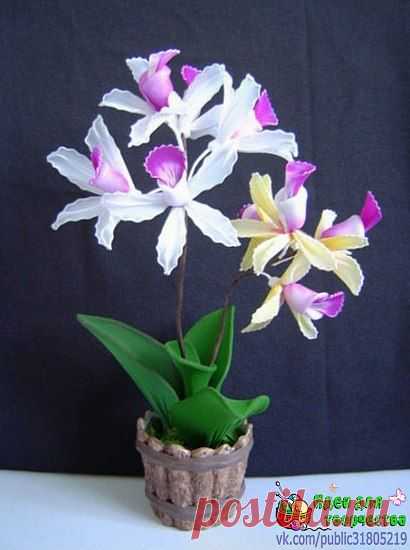 Фотографии на стене сообщества | 32 825 фотографий | ВКонтакте