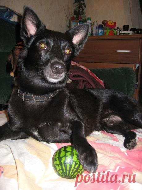 мой арбуззззз