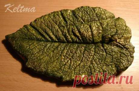 МАСТЕР-КЛАСС: ДЕКОРАТИВНЫЕ ЛИСТЬЯ ИЗ ГИПСА