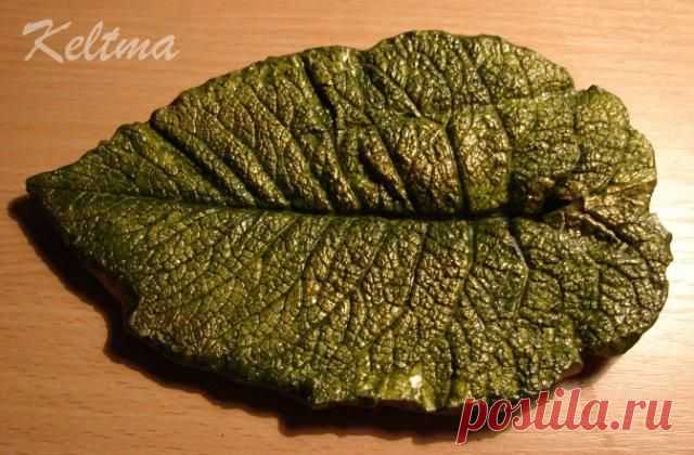 МАСТЕР-КЛАСС: ДЕКОРАТИВНЫЕ ЛИСТЬЯ ИЗ ГИПСА