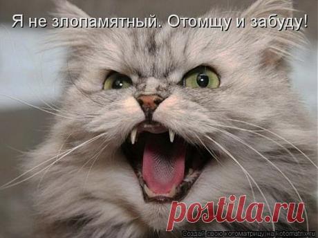 Мой Мир@Mail.Ru