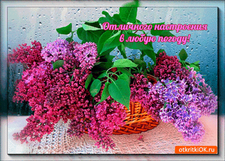 Картинки «Хорошего настроения в любую погоду!» (20 фото) ⭐ Забавник