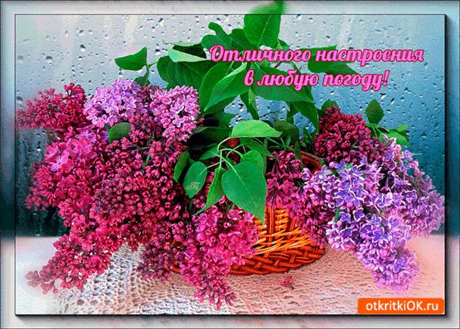 Картинки «Хорошего настроения в любую погоду!» (20 фото) ⭐ Забавник