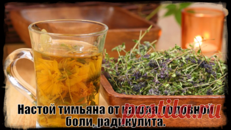 Настой тимьяна от кашля, головной боли, радикулита.