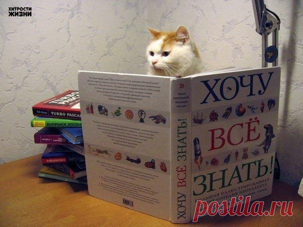 Хотите мыслить шире, читайте! 58 книг, которые научат вас этому!
