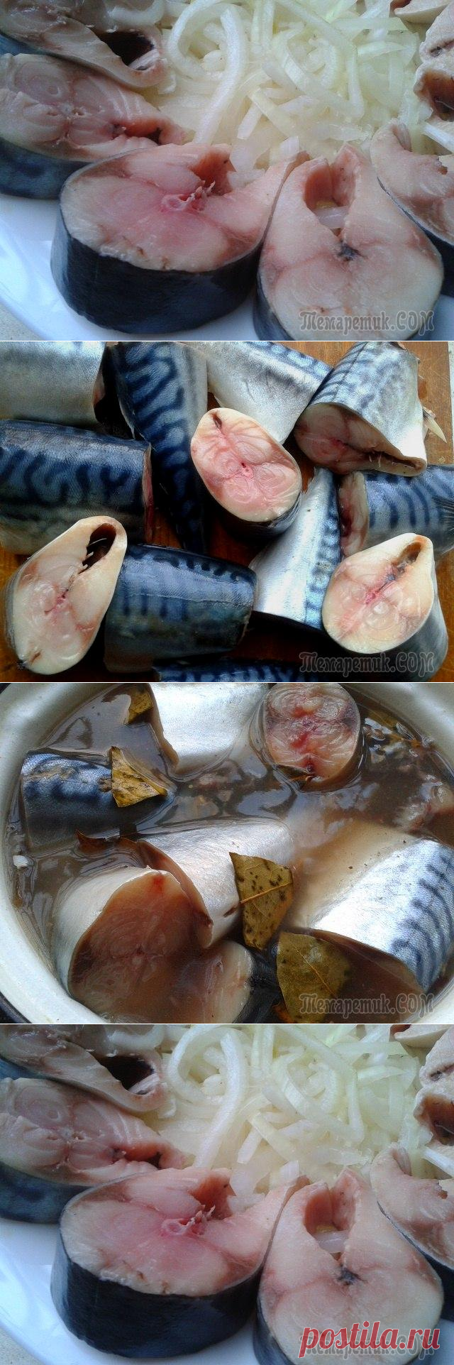 Очень вкусная скумбрия пряного посола