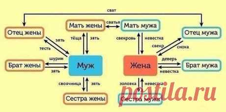 Степень родства