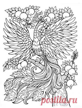 «5 неделя беременности. Наступила 5 неделя беременности. Эмбрион достиг размеров маленького кунжутного семечка, продолжается закладка всех его систем и внутренних органов. В этот период будущей маме необходимо особенно важно следить за своим питанием и принимать витамины для беременных, содержащие весь необходимый комплекс веществ, в том числе фолиевую кислоту(витамин B9), снижающую риск развития дефектов нервной трубки плода.В этот период крайне нежелательно принимать алк...