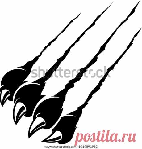 Animals | Studio77 FX vector: коллекция стоковых фотографий и изображений | Shutterstock