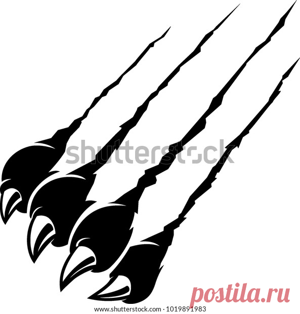 Animals | Studio77 FX vector: коллекция стоковых фотографий и изображений | Shutterstock